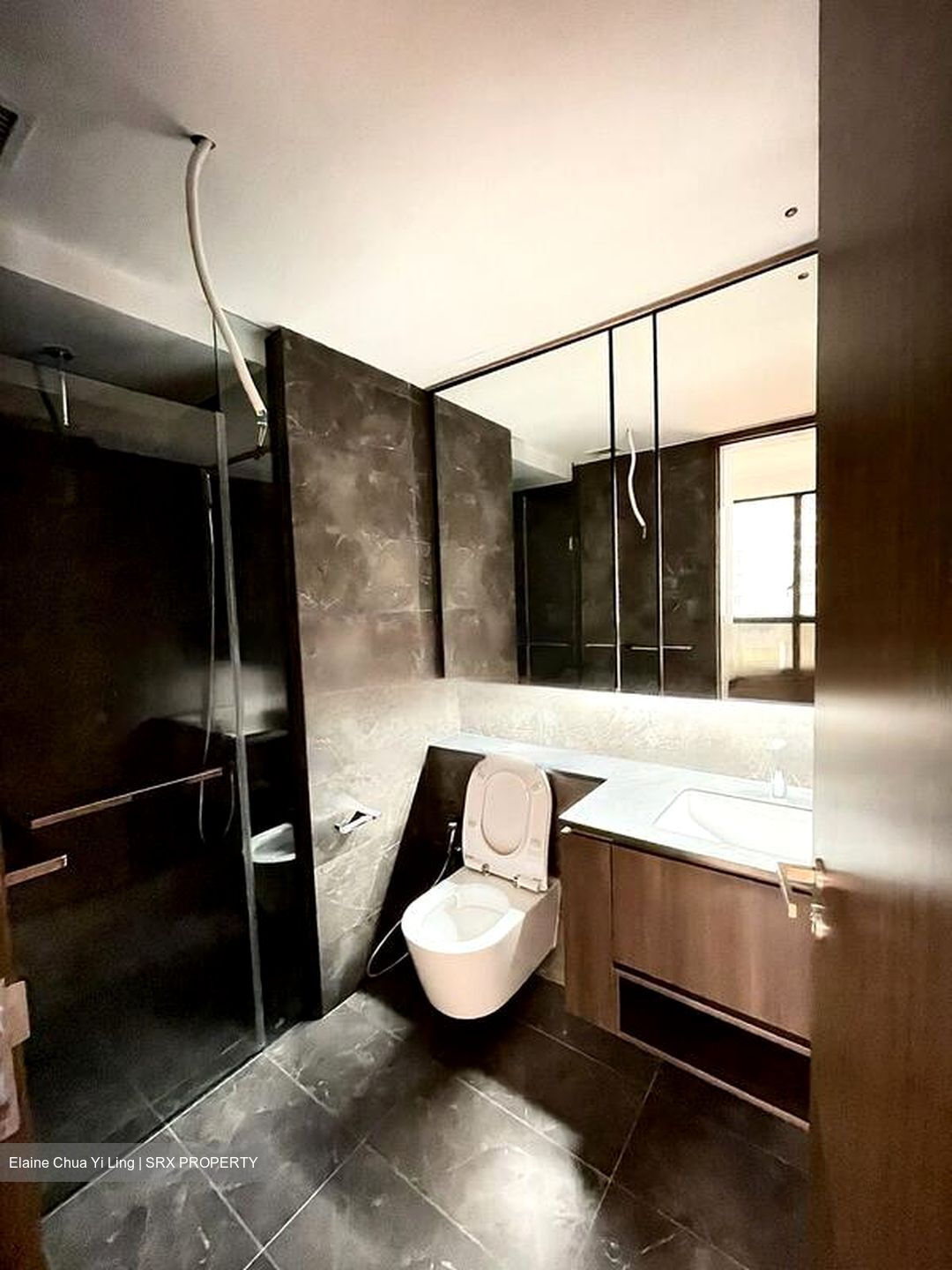 Kopar At Newton (D9), Apartment #459638021